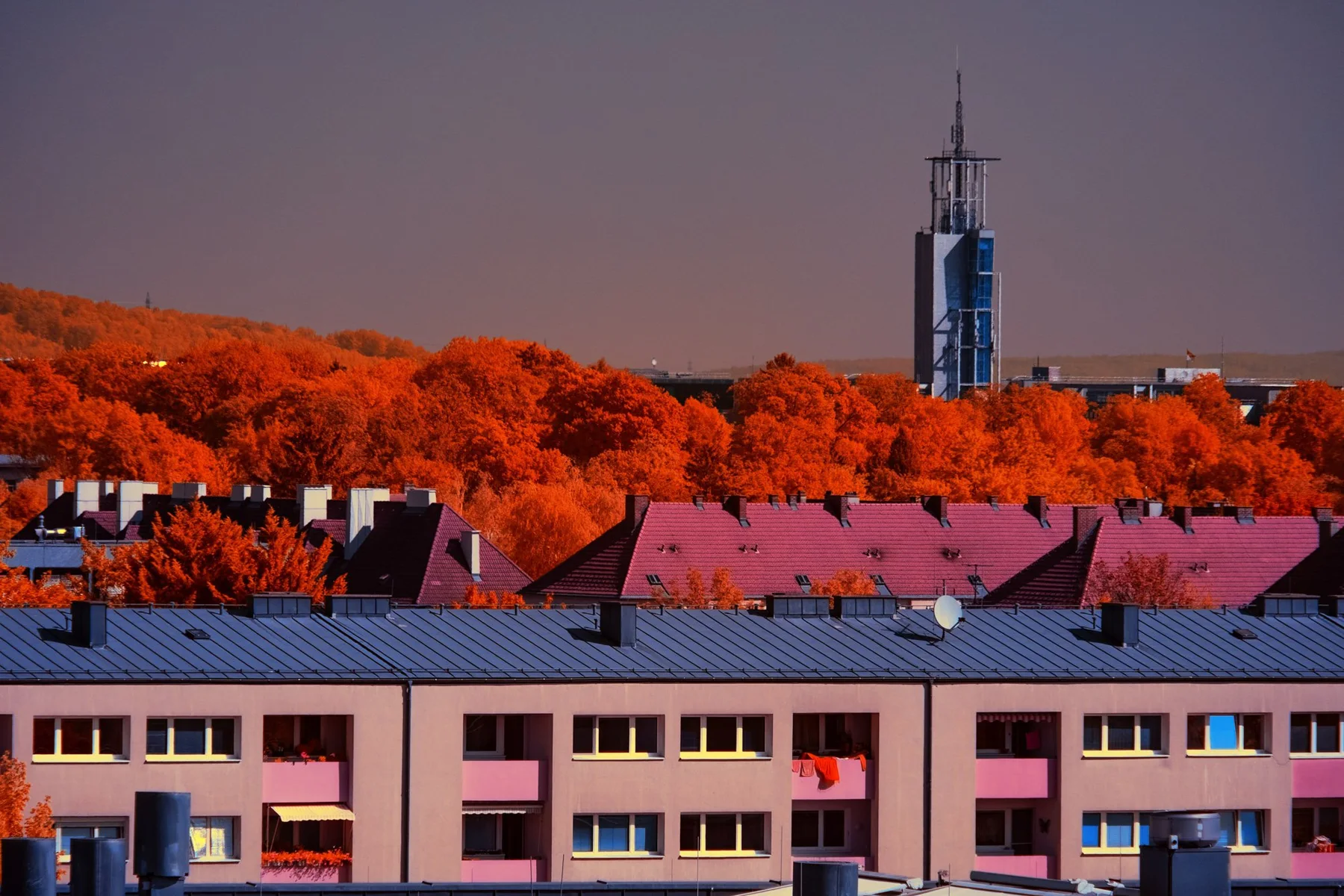 Wohnh&auml;user vor orangefarbenem Wald und einem Turm.