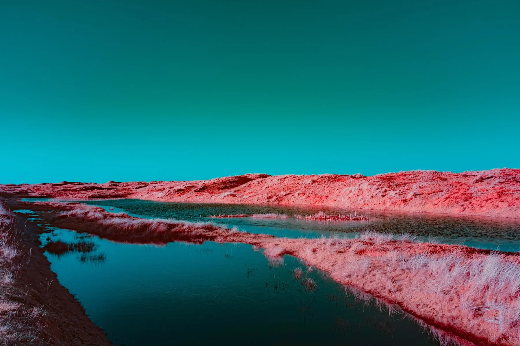 Wasserlauf zwischen pinkfarbenen D&uuml;nen.
