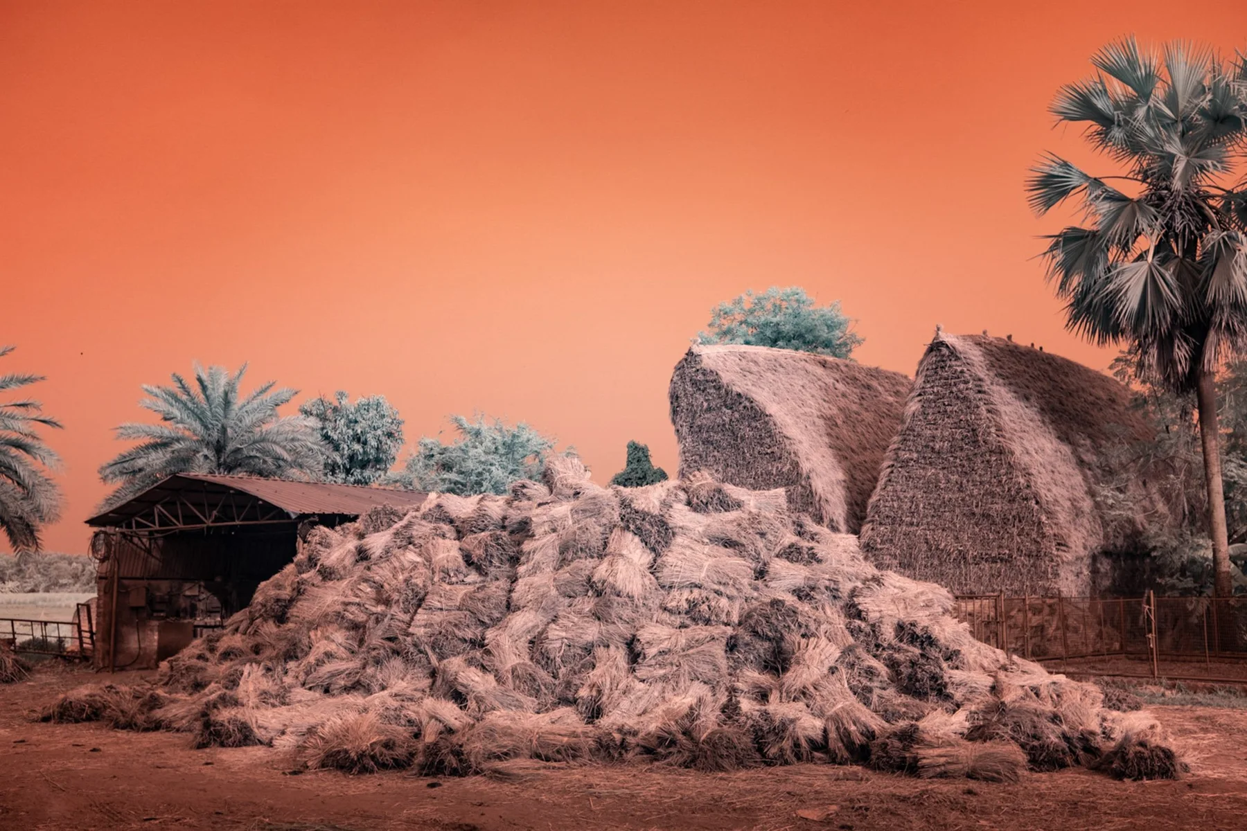 Strohgedeckte H&uuml;tten und aufgeschichtetes Material unter orangefarbenem Himmel.