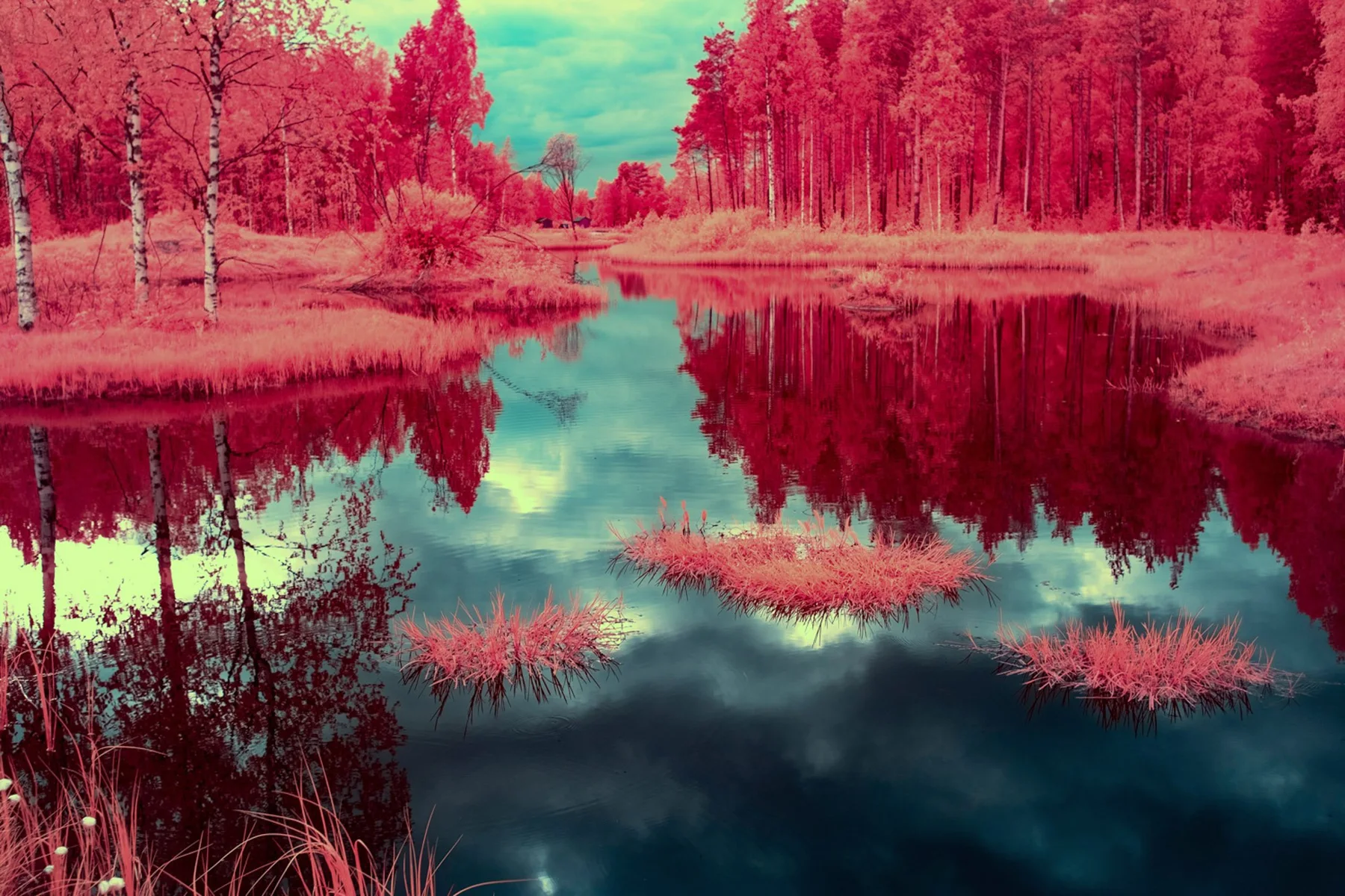 Teich in einem rot gef&auml;rbten Wald.