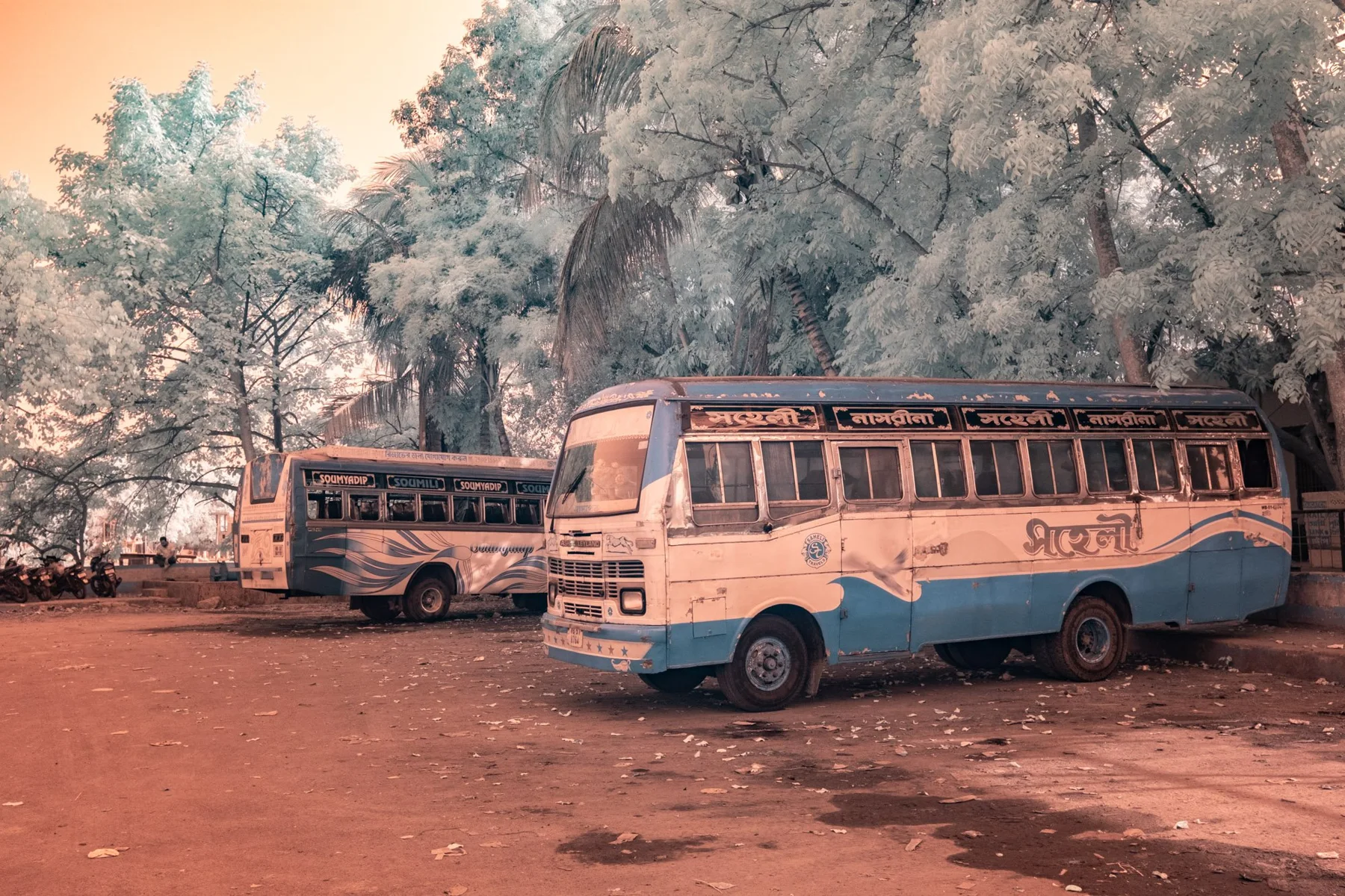 Zwei geparkte Busse unter B&auml;umen.