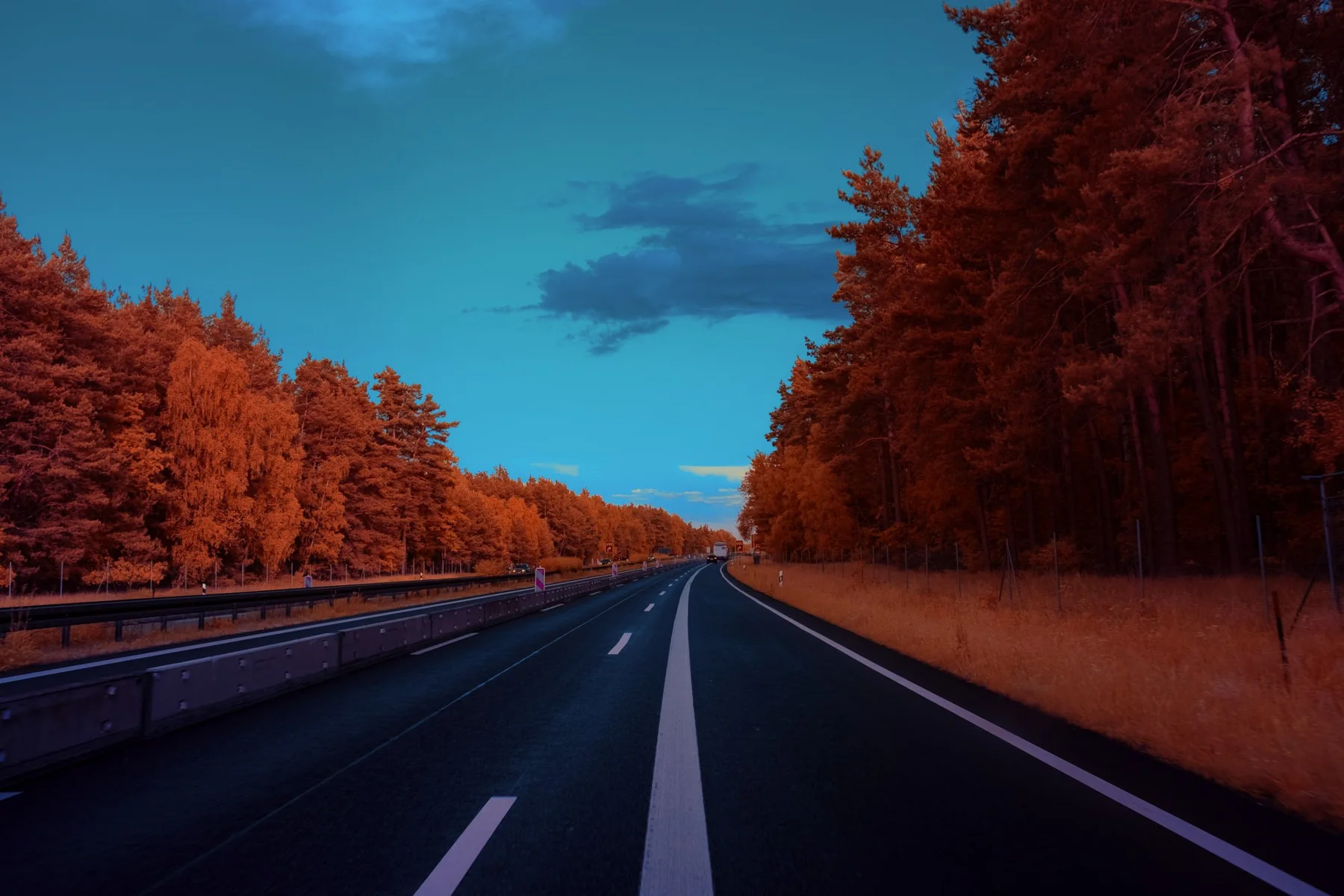 Autobahn zwischen orangefarbenen W&auml;ldern.