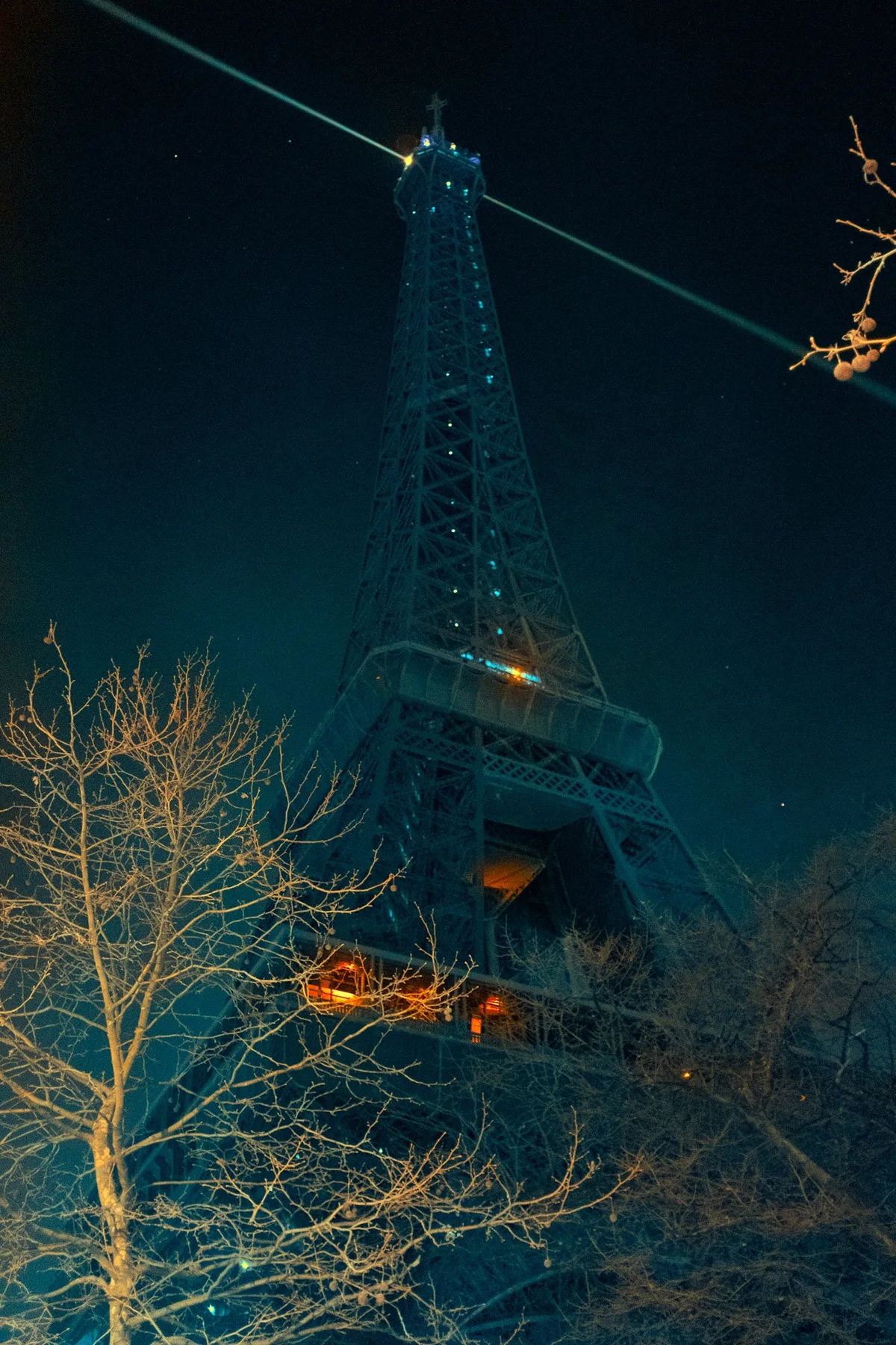 Der beleuchtete Eiffelturm hinter dunklen Zweigen bei Nacht.