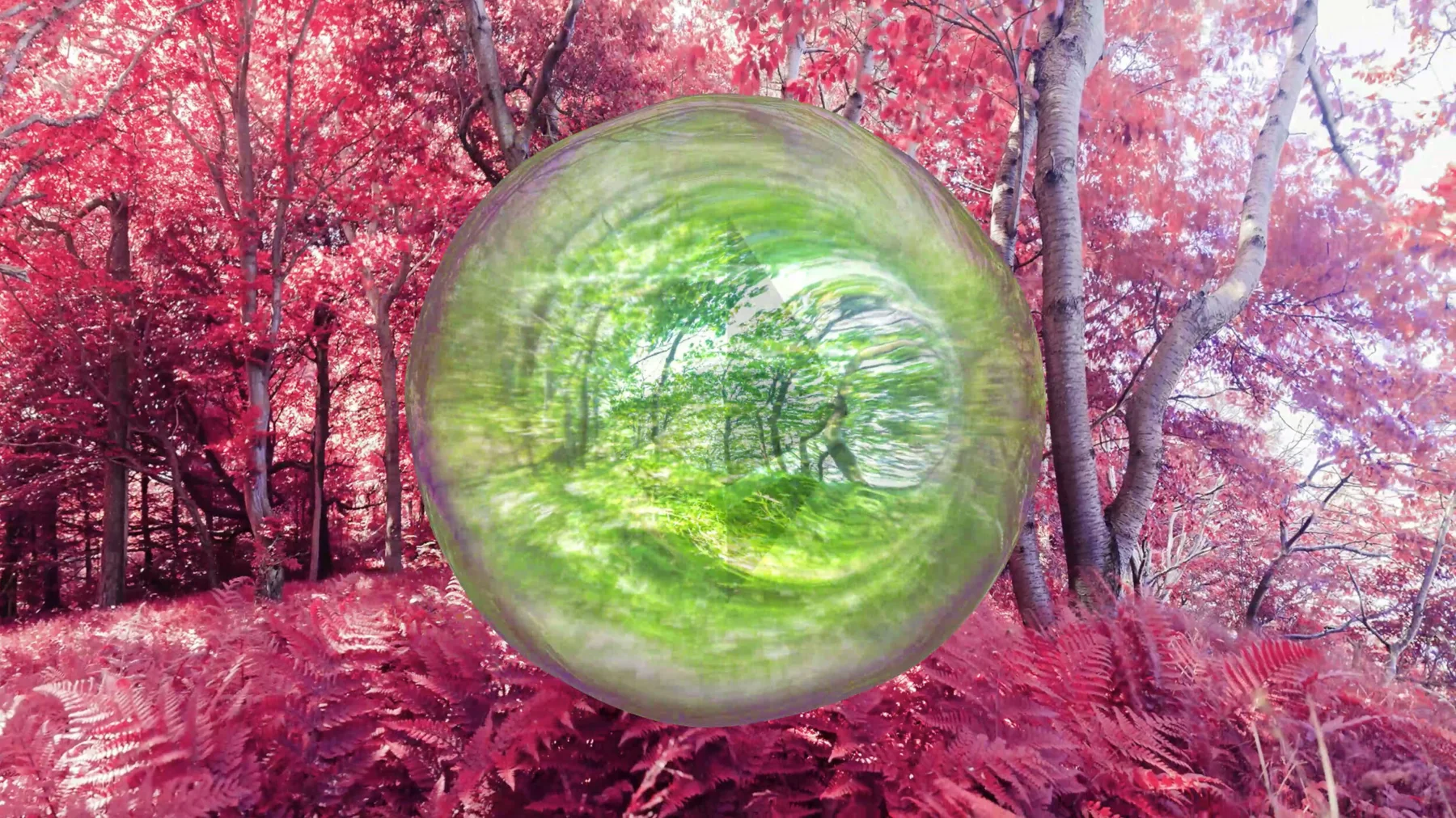 Bubble of Reality