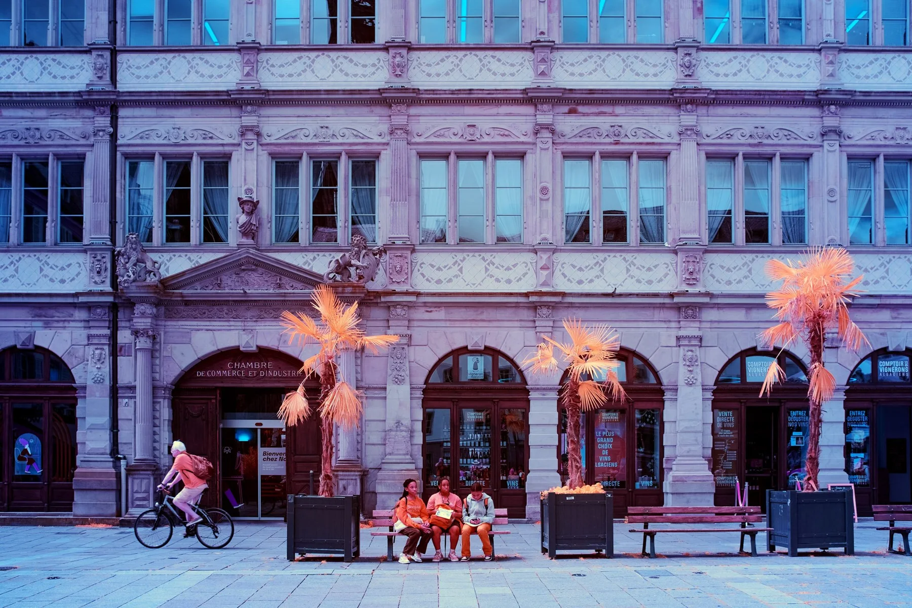 Historisches Caf&eacute; mit Palmen und einem vorbeifahrenden Radfahrer.