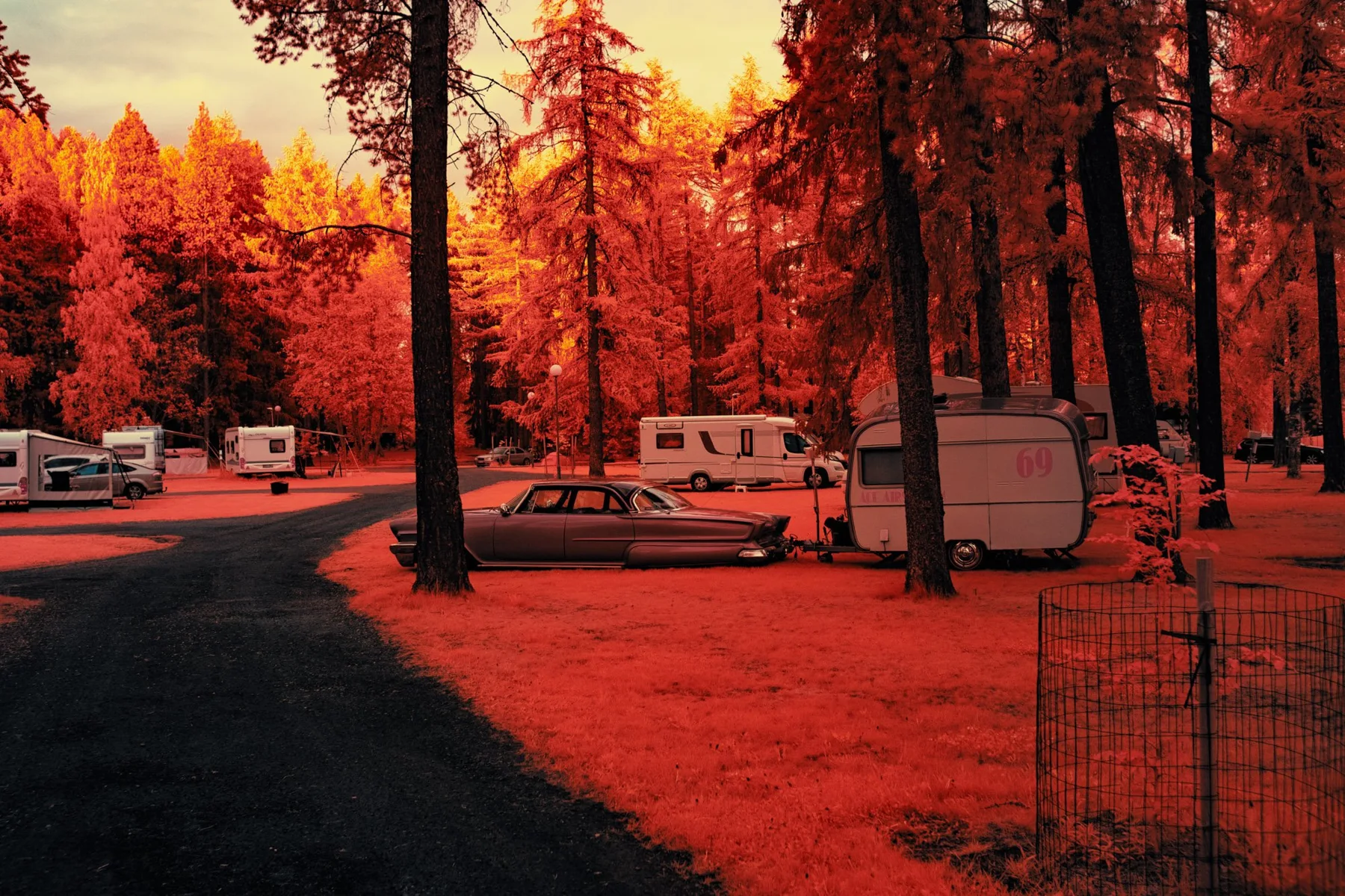 Campingplatz zwischen B&auml;umen.