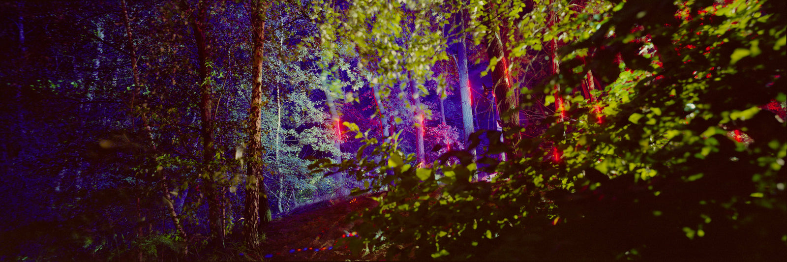 Laser Forest 2