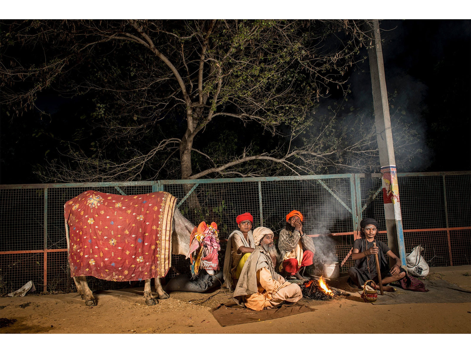 Sadhus with holy cow, Indien