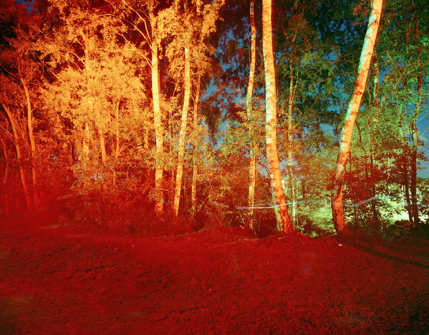 Red Forest, Deutschland