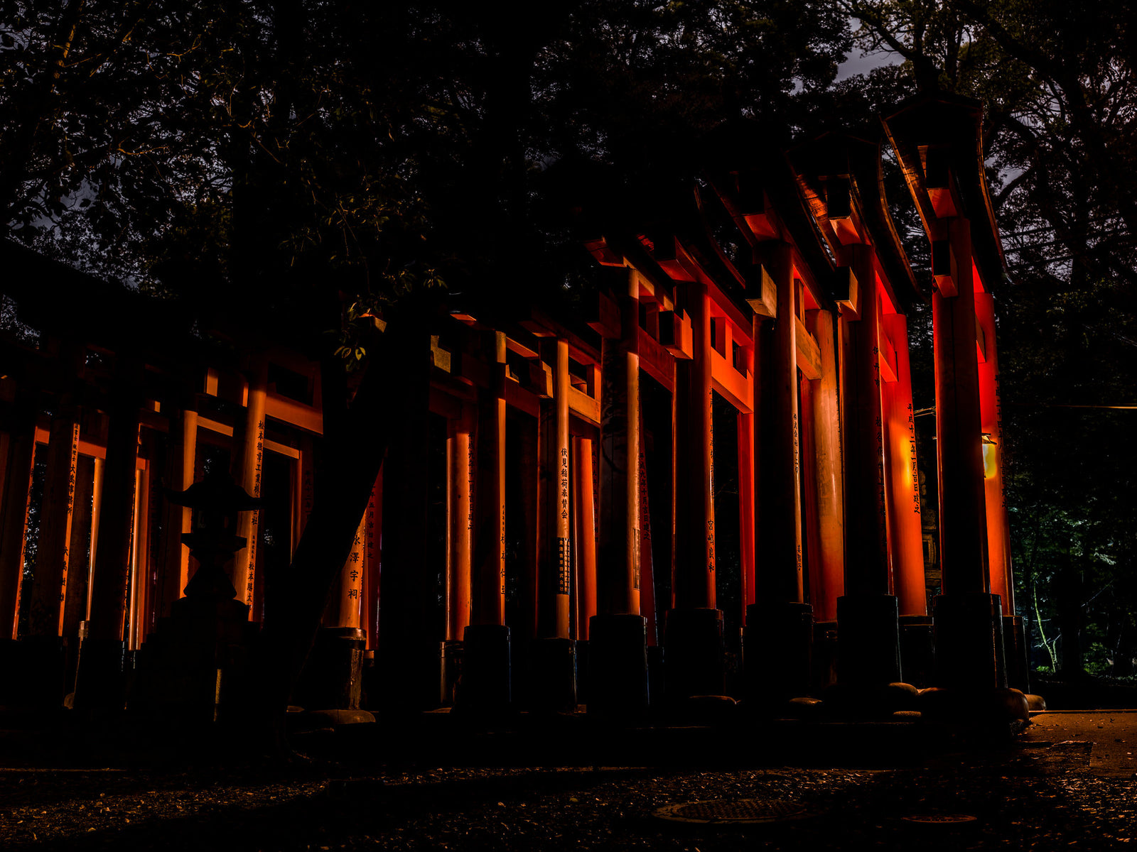 Fushimi Inari-Tasisha 2
