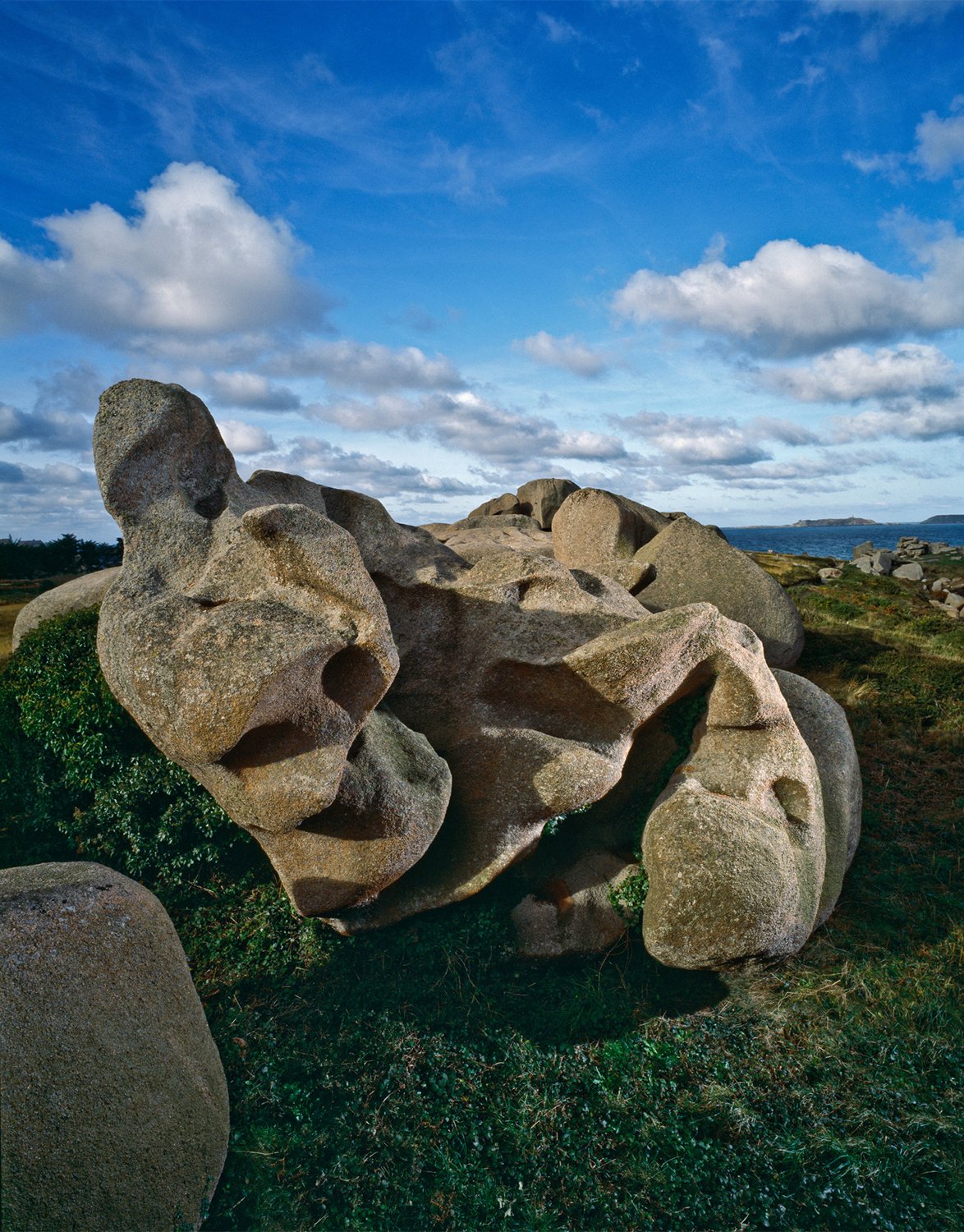 Goliath´s head, Frankreich