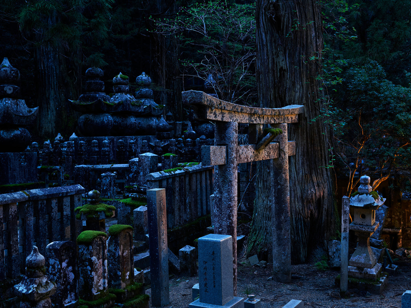 Oku-No-In Twillight 2