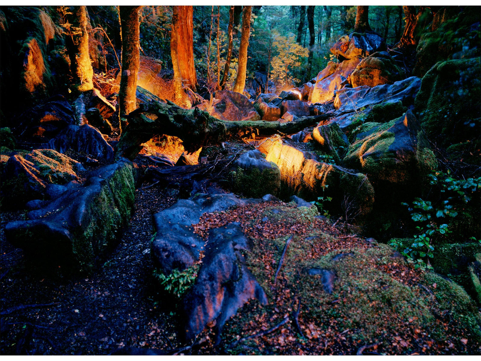 Harwood hole 2, Neuseeland