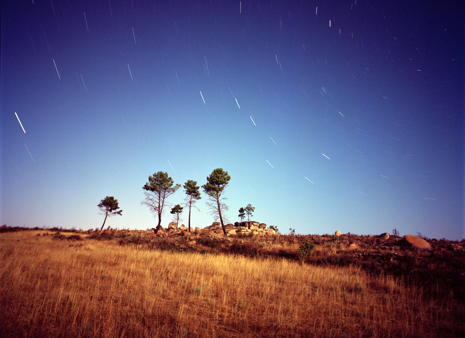 Touching the Stars