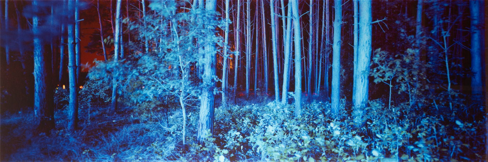Blue forest, Deutschland