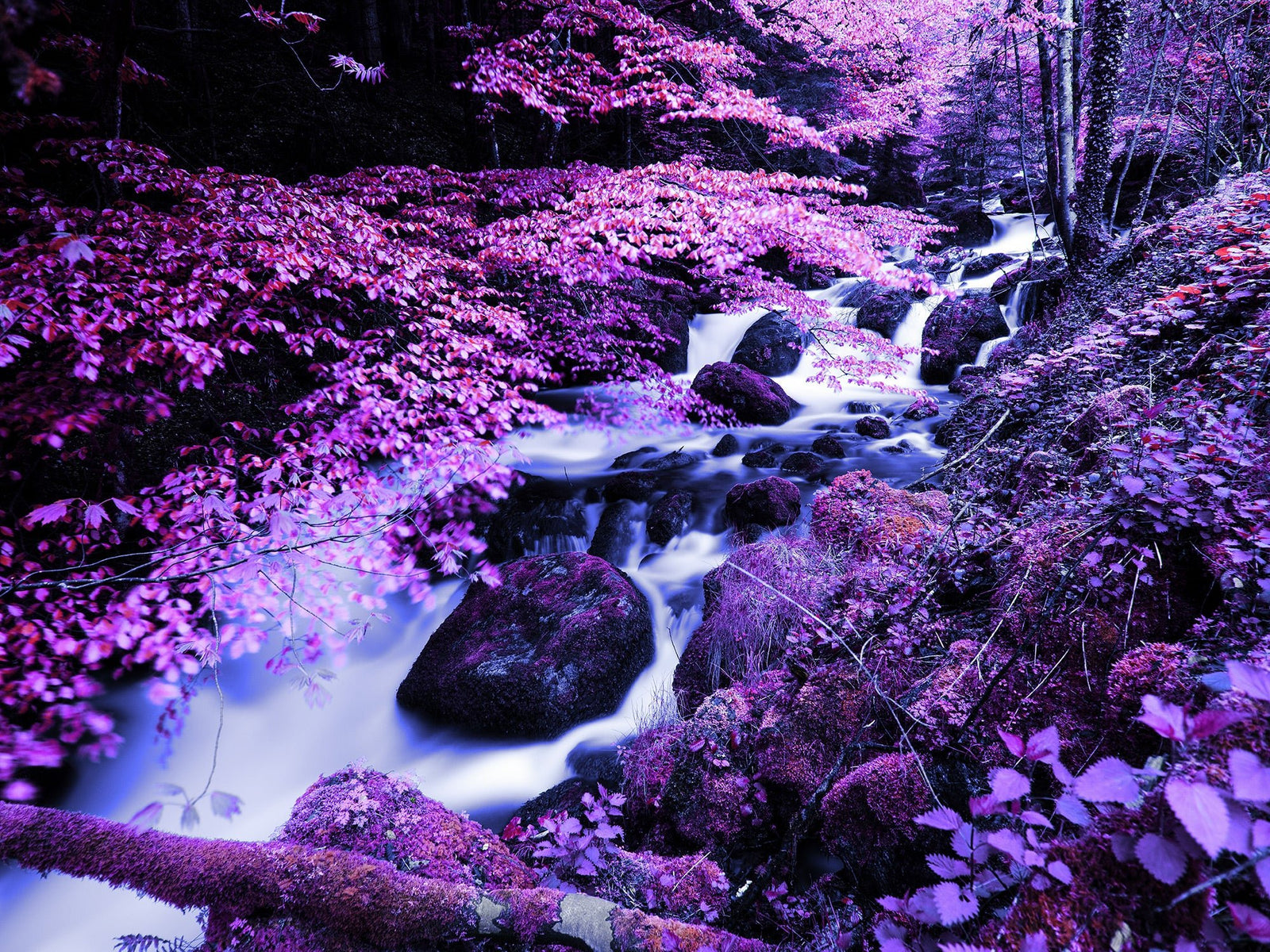Waterfall at night in the blackforest, Deutschland