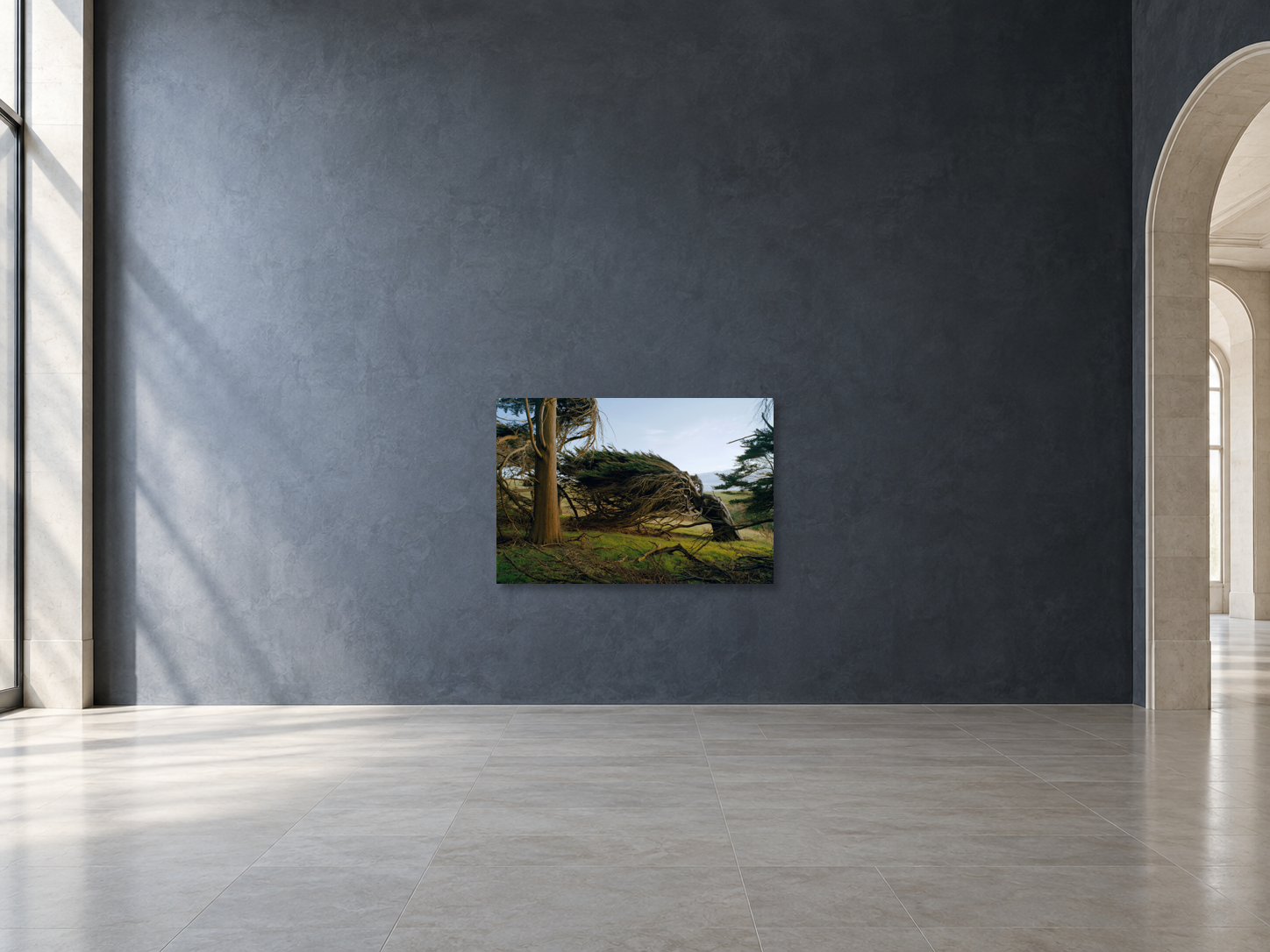 André Wagner – Fight, Neuseeland – vue d’intérieur pour le format 110 × 150 cm