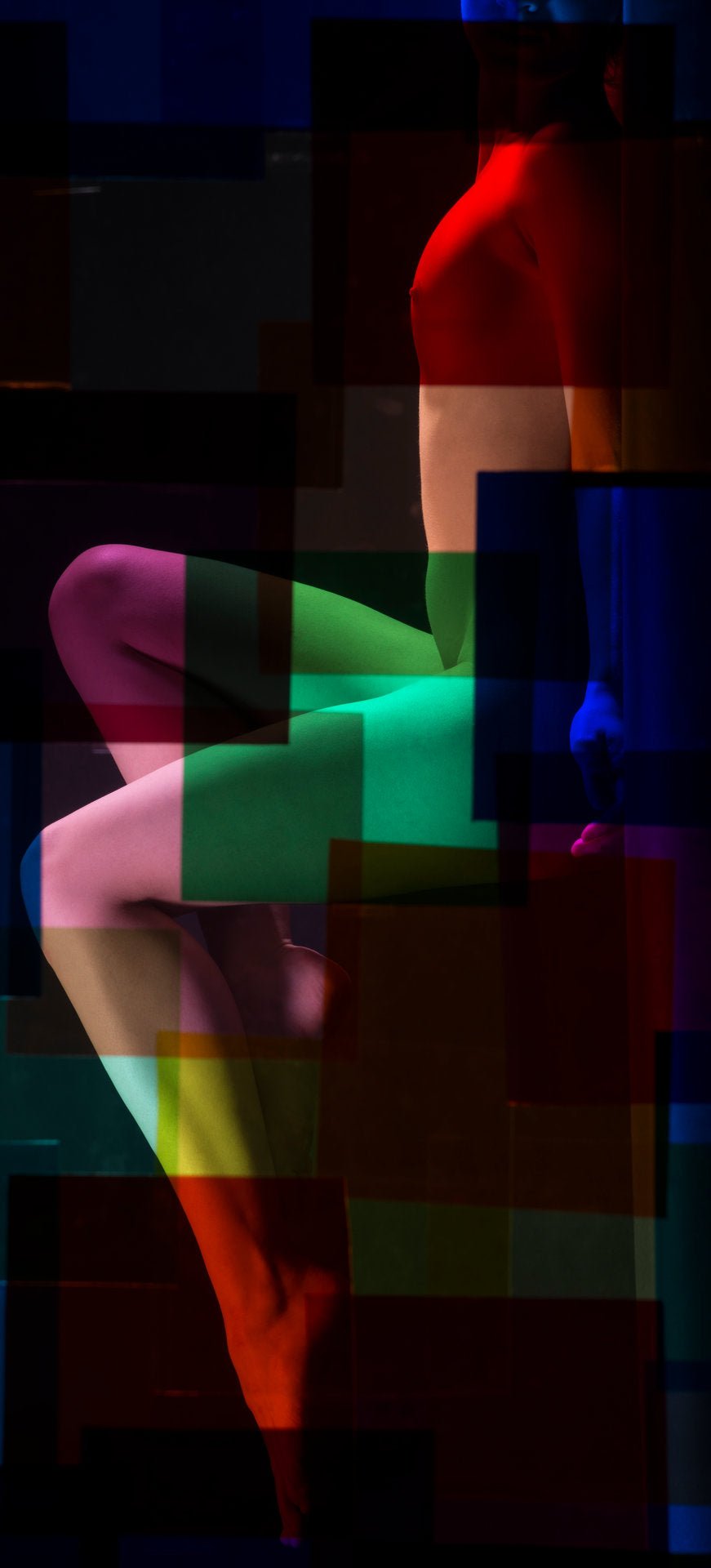 Paula XVIII, 2016