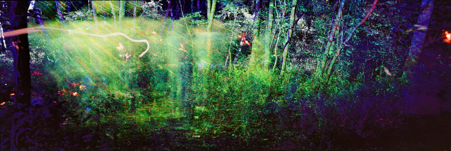 Laser Forest, Deutschland