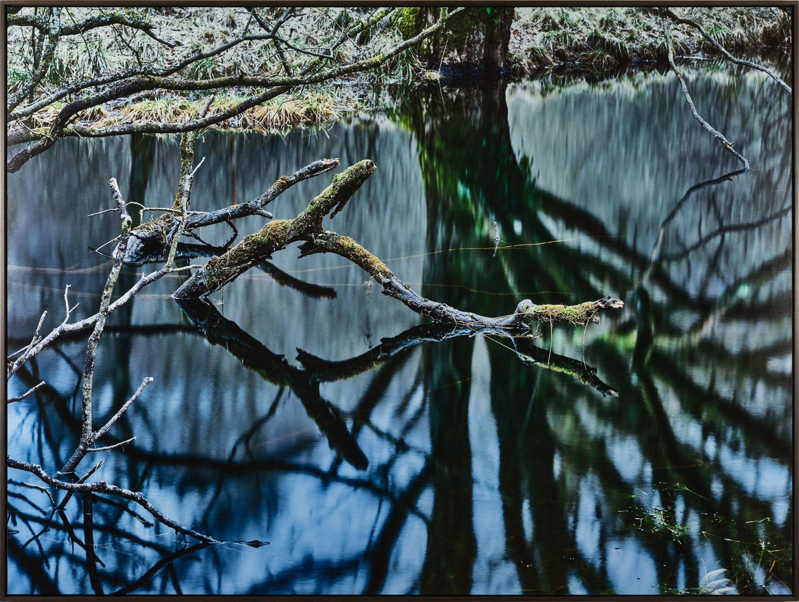 Oasis of silence 3, Schottland
