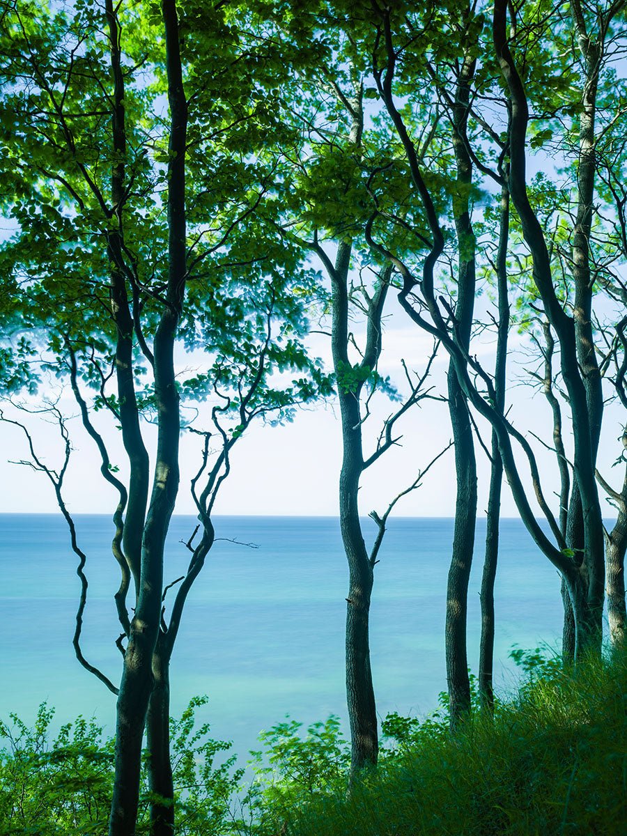 Whispering trees by the sea, Deutschland