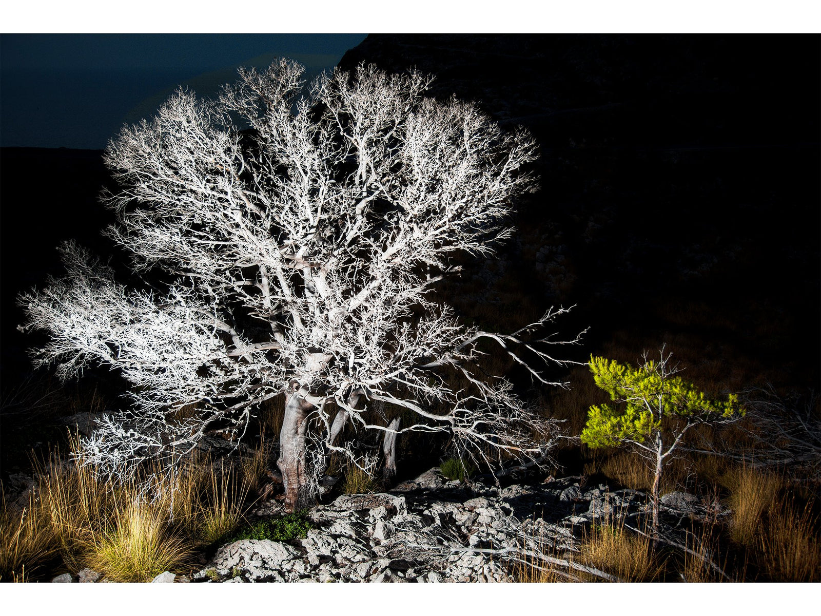 Birth and death, Spanien