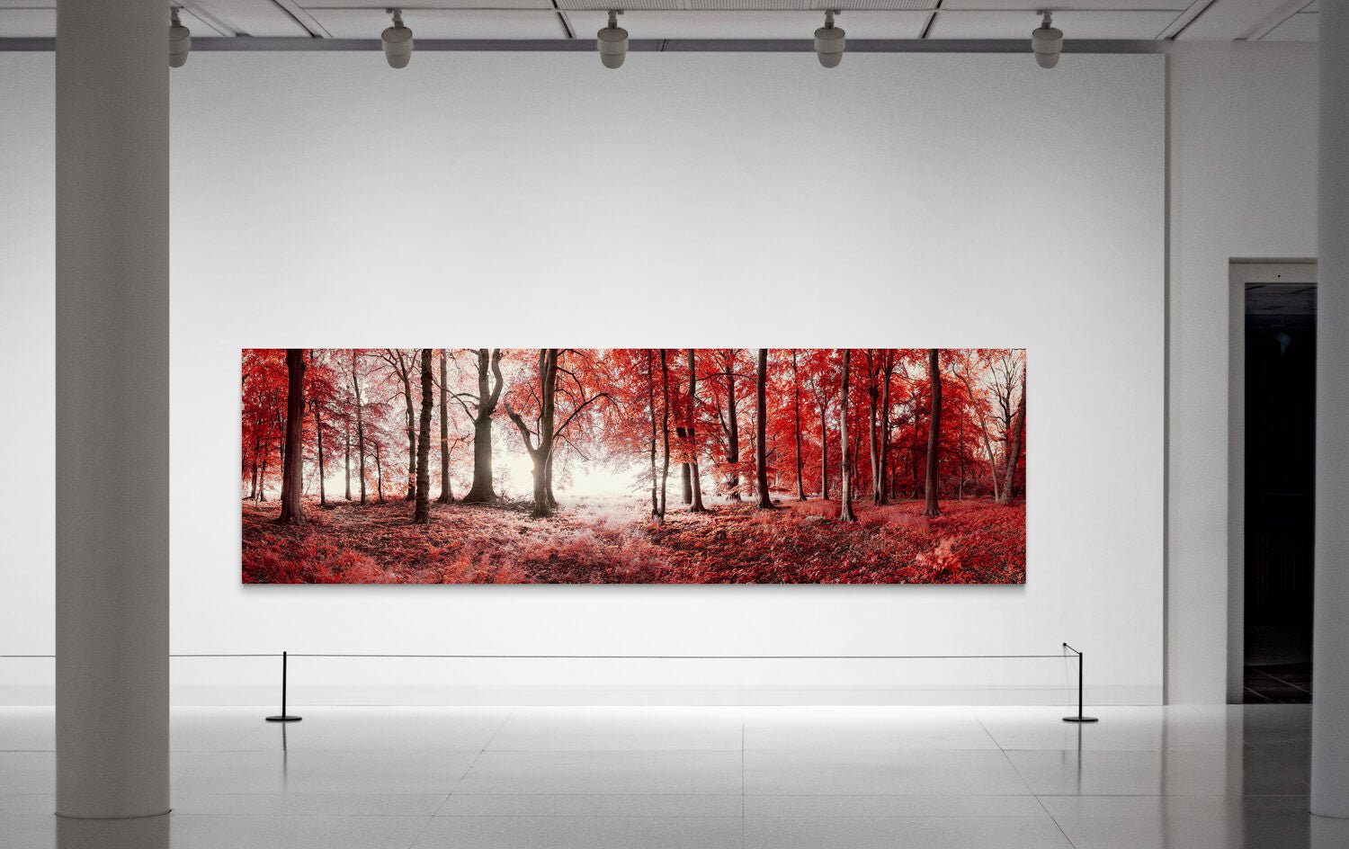 Realm of Enchanted Shadows: A Fairytale Infrared Oasis